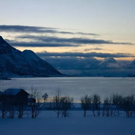 Charming House By The Sea, Lofoten! 펜션 *