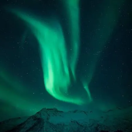 펜션 Charming House By The Sea, Lofoten!