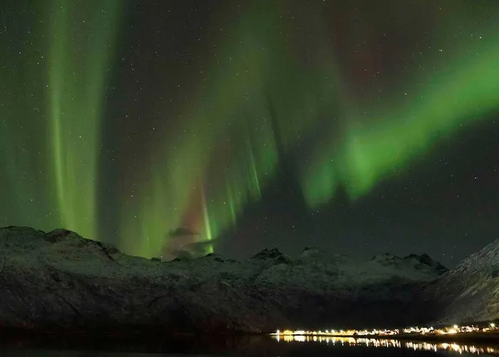 Charming House By The Sea, Lofoten! * Laupstad