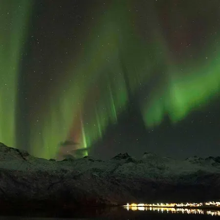 Charming House By The Sea, Lofoten! * Laupstad